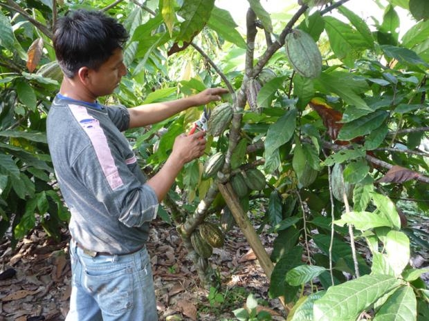 imagen del encabezado