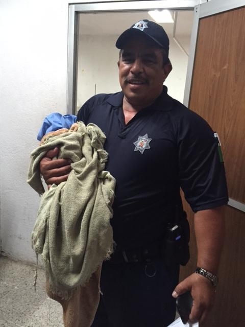 imagen del encabezado