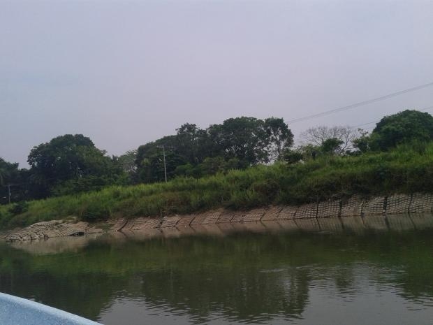 imagen del encabezado