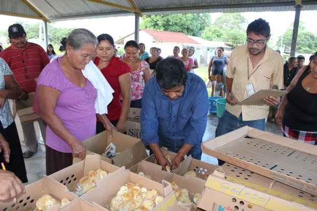 imagen del encabezado