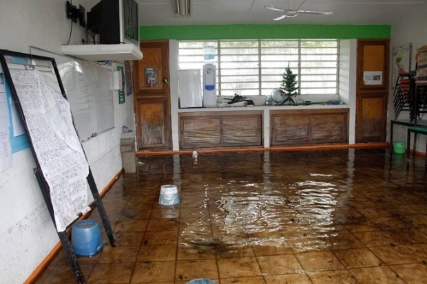 imagen del encabezado