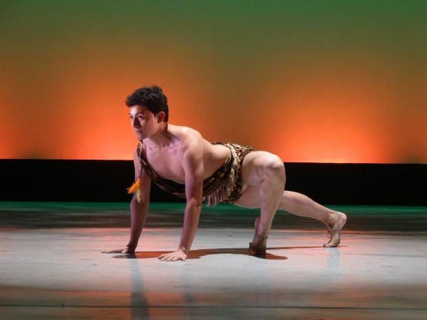 imagen del encabezado