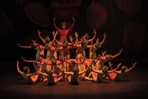 imagen del encabezado