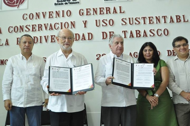 imagen del encabezado