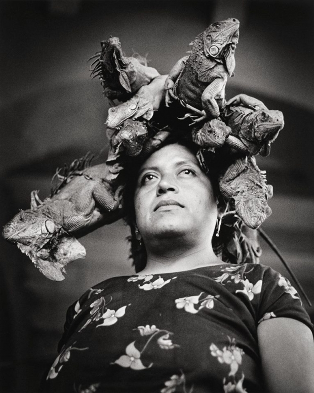 imagen del encabezado