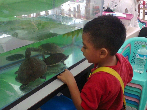 imagen del encabezado