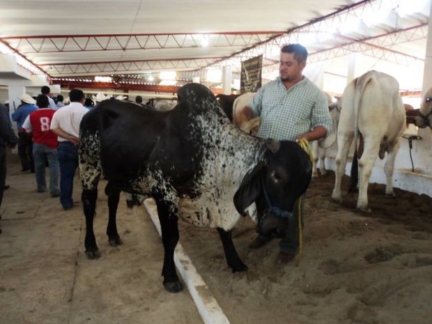 imagen del encabezado