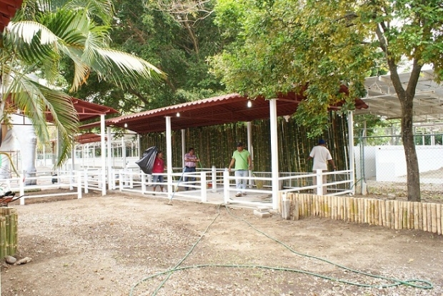 imagen del encabezado