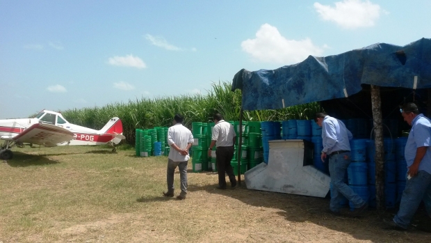 imagen del encabezado