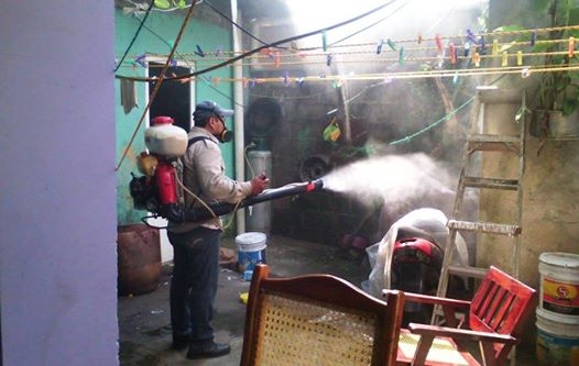 imagen del encabezado