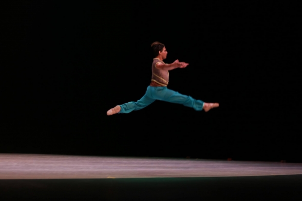 imagen del encabezado