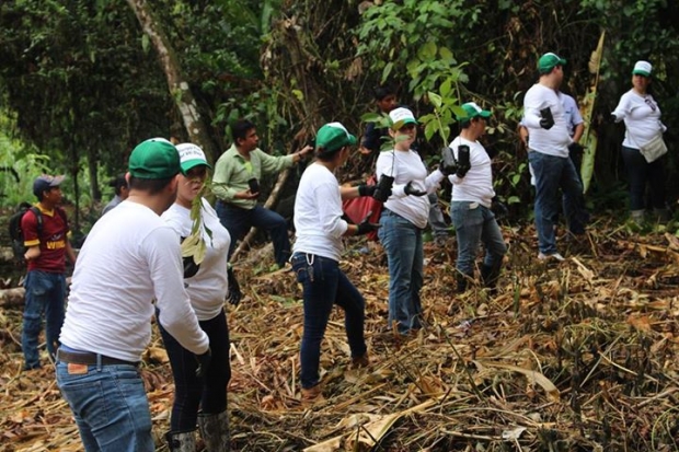 imagen del encabezado