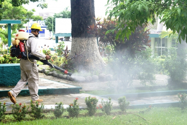 imagen del encabezado