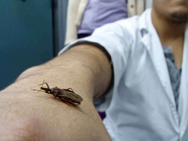 imagen del encabezado