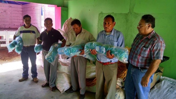 imagen del encabezado