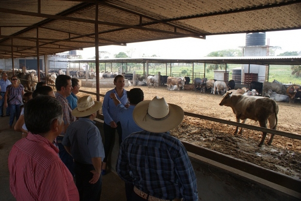 imagen del encabezado