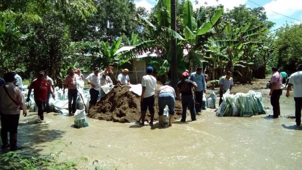 imagen del encabezado