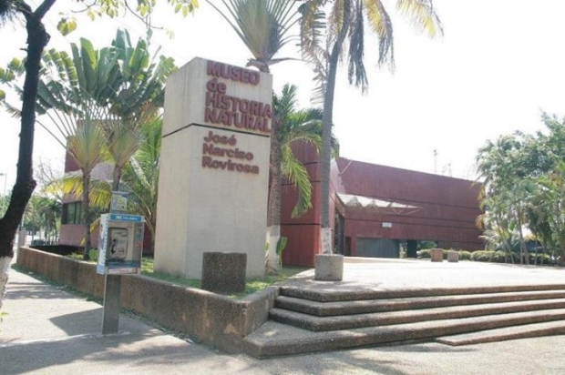 imagen del encabezado