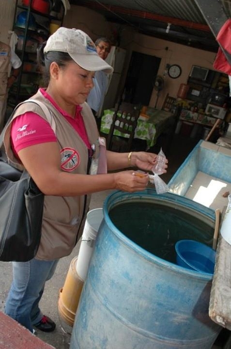 imagen del encabezado