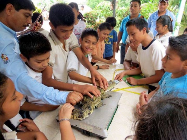 imagen del encabezado