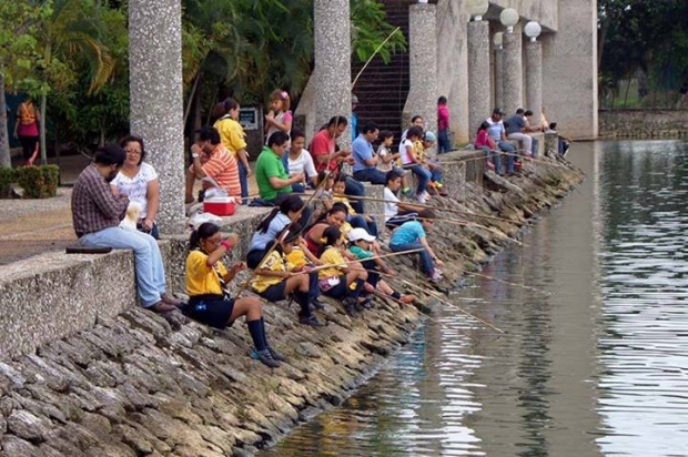 imagen del encabezado