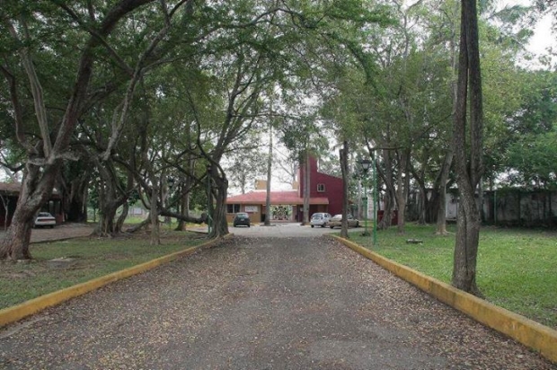 imagen del encabezado