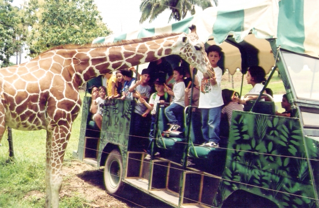 imagen del encabezado