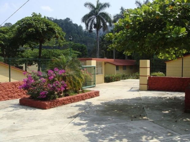 imagen del encabezado