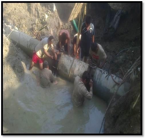 imagen del encabezado