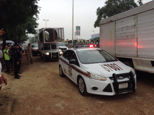 imagen del encabezado