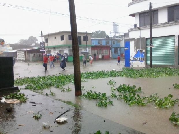 imagen del encabezado