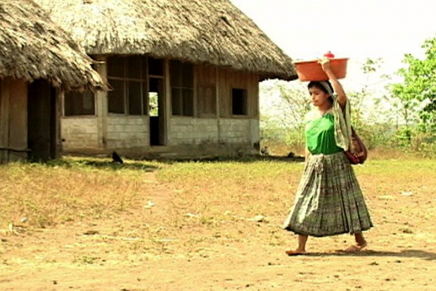 imagen del encabezado