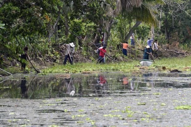 imagen del encabezado