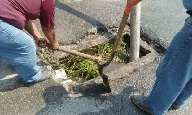 imagen del encabezado