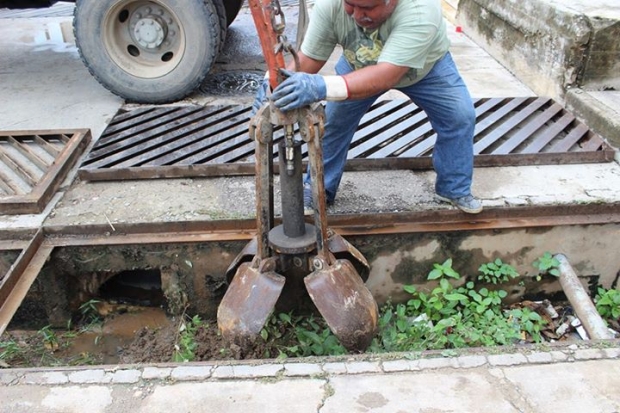 imagen del encabezado