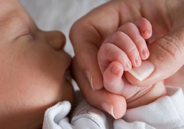 imagen del encabezado