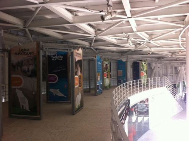 imagen del encabezado