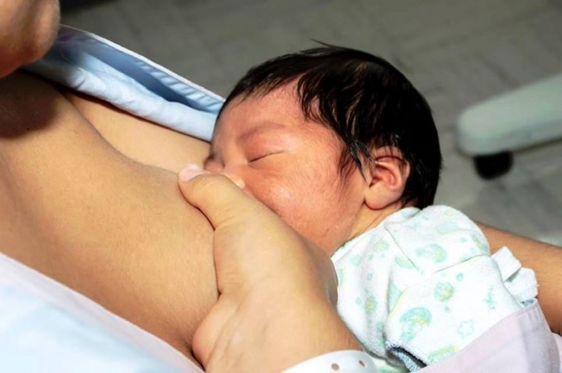 imagen del encabezado