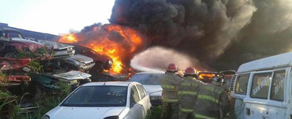 imagen del encabezado