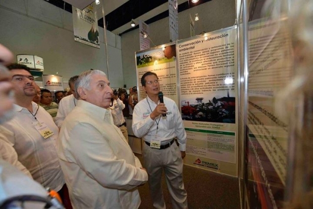 imagen del encabezado