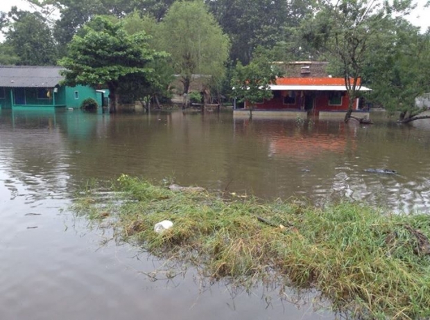 imagen del encabezado