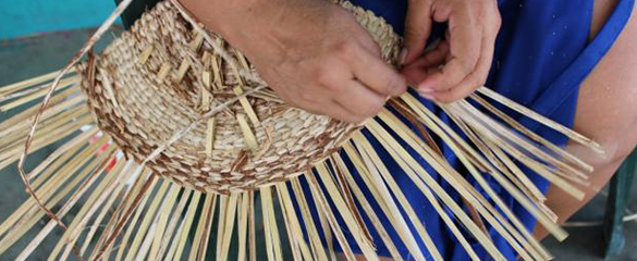 imagen del encabezado