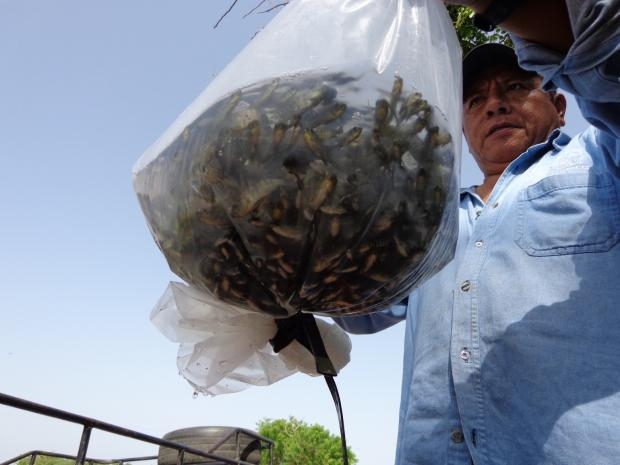 imagen del encabezado