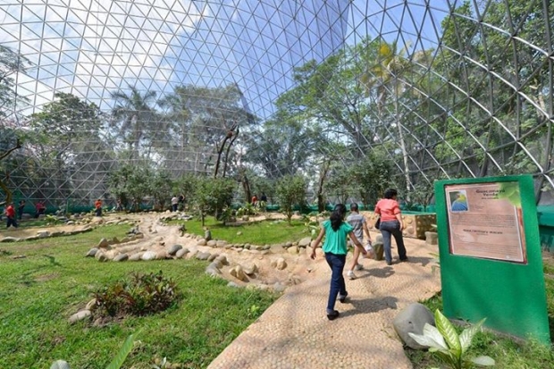 imagen del encabezado