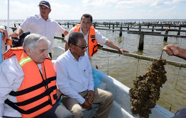 imagen del encabezado