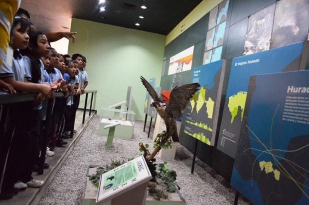 imagen del encabezado