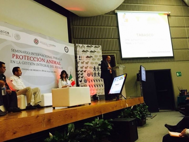 imagen del encabezado