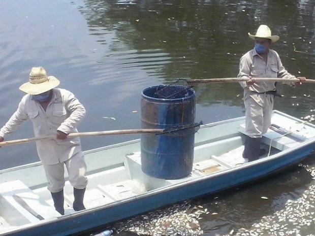 imagen del encabezado