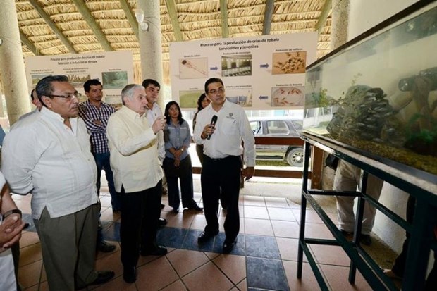 imagen del encabezado