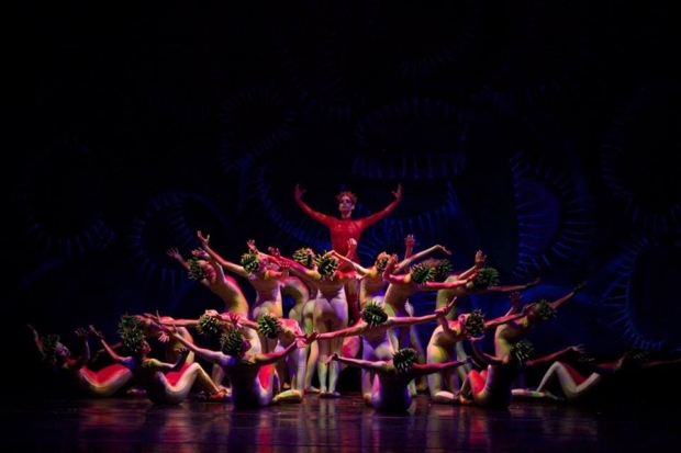 imagen del encabezado